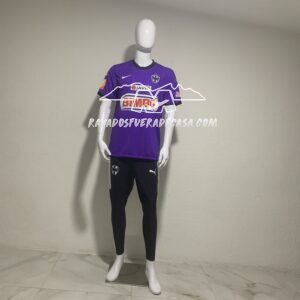 IMG_0527 Jersey alternativo temporada 10-11