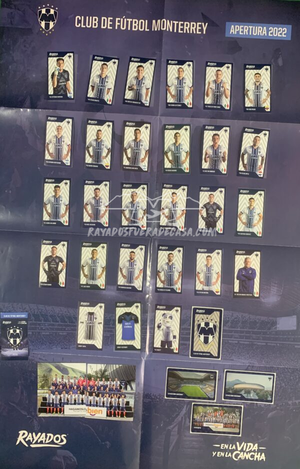 Póster Rayados con estampas completo