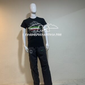 IMG_1012 Playera barra