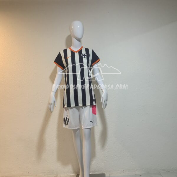 Jersey Rayados Local temporada 13-14 Talla L Corte Para Dama