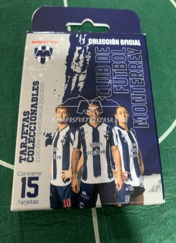 Paquete con 15 tarjetas coleccionables Rayados.