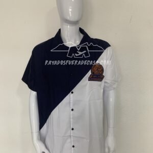 Jersey temporada 1945 no oficial